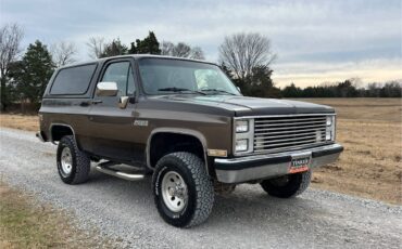Chevrolet-blazer-12-ton-1987-brown-5