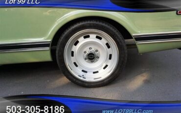 Chevrolet-c-10-cst-v8-auto-new-1969-green-13