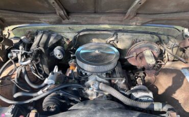 Chevrolet-c10-longbed-1971-green-10