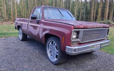 Chevrolet-c10-longbed-1977