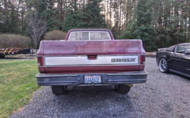 Chevrolet-c10-longbed-1977-5