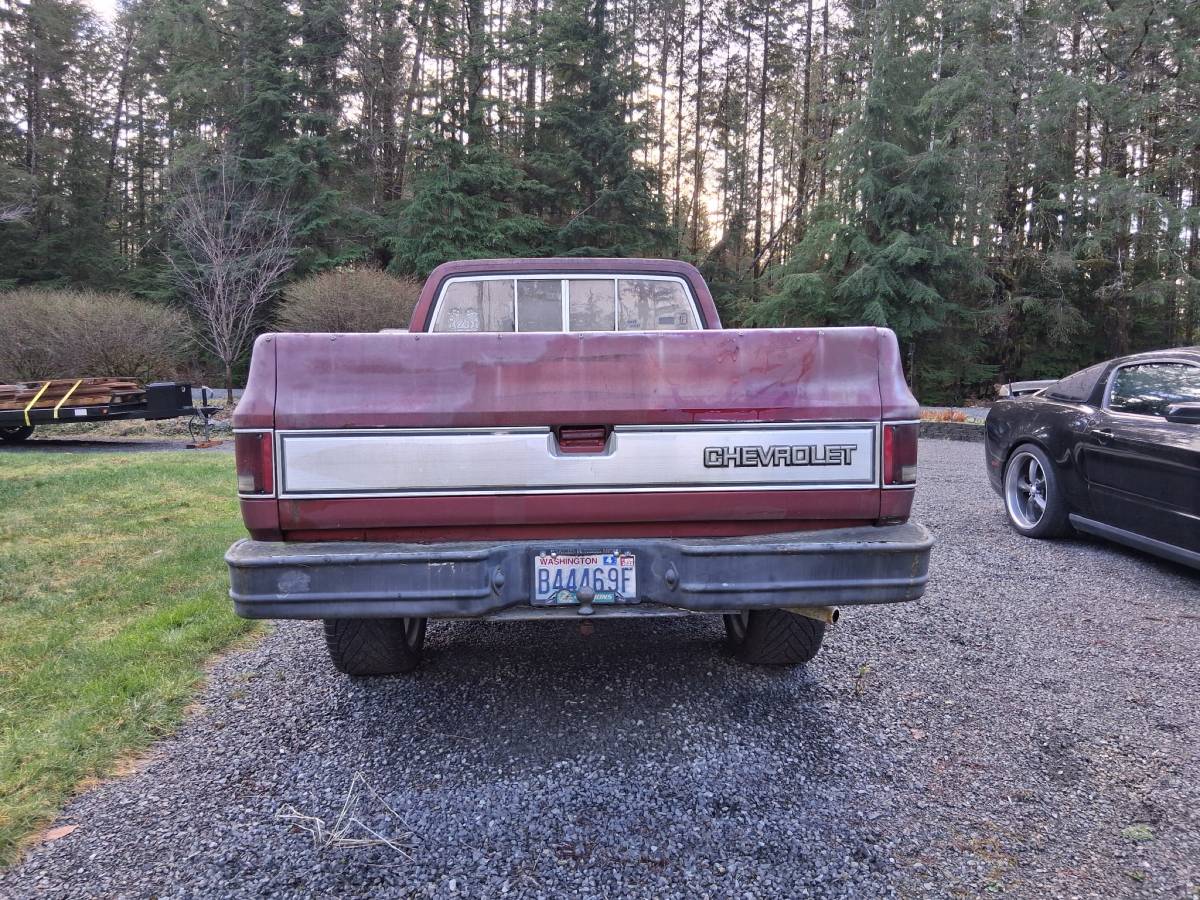 Chevrolet-c10-longbed-1977-5