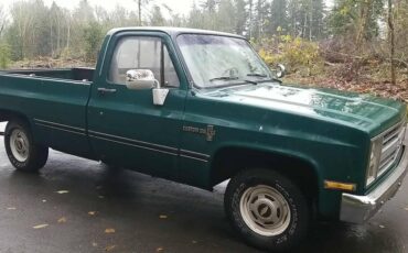 Chevrolet-c10-longbed-1985-3