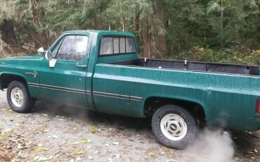 Chevrolet-c10-longbed-1985-4