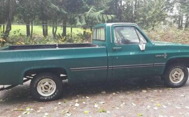 Chevrolet-c10-longbed-1985-5