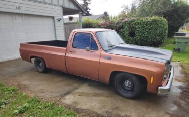 Chevrolet-c10-pickup-1977-custom-1