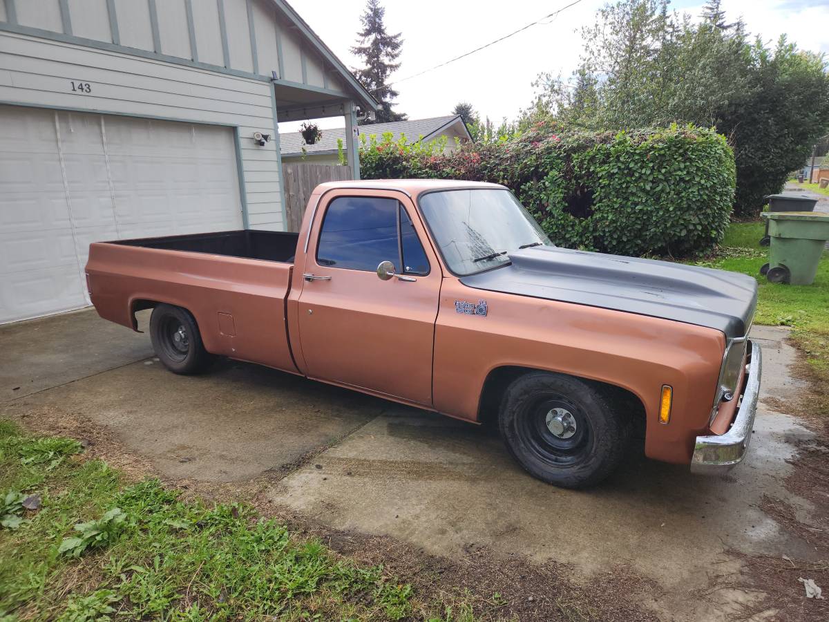 Chevrolet-c10-pickup-1977-custom-1