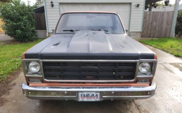 Chevrolet-c10-pickup-1977-custom-12