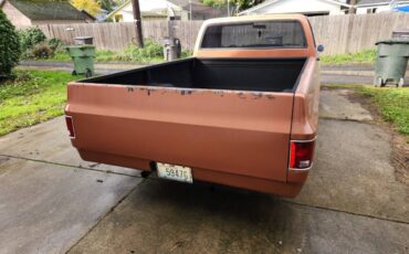 Chevrolet-c10-pickup-1977-custom-13