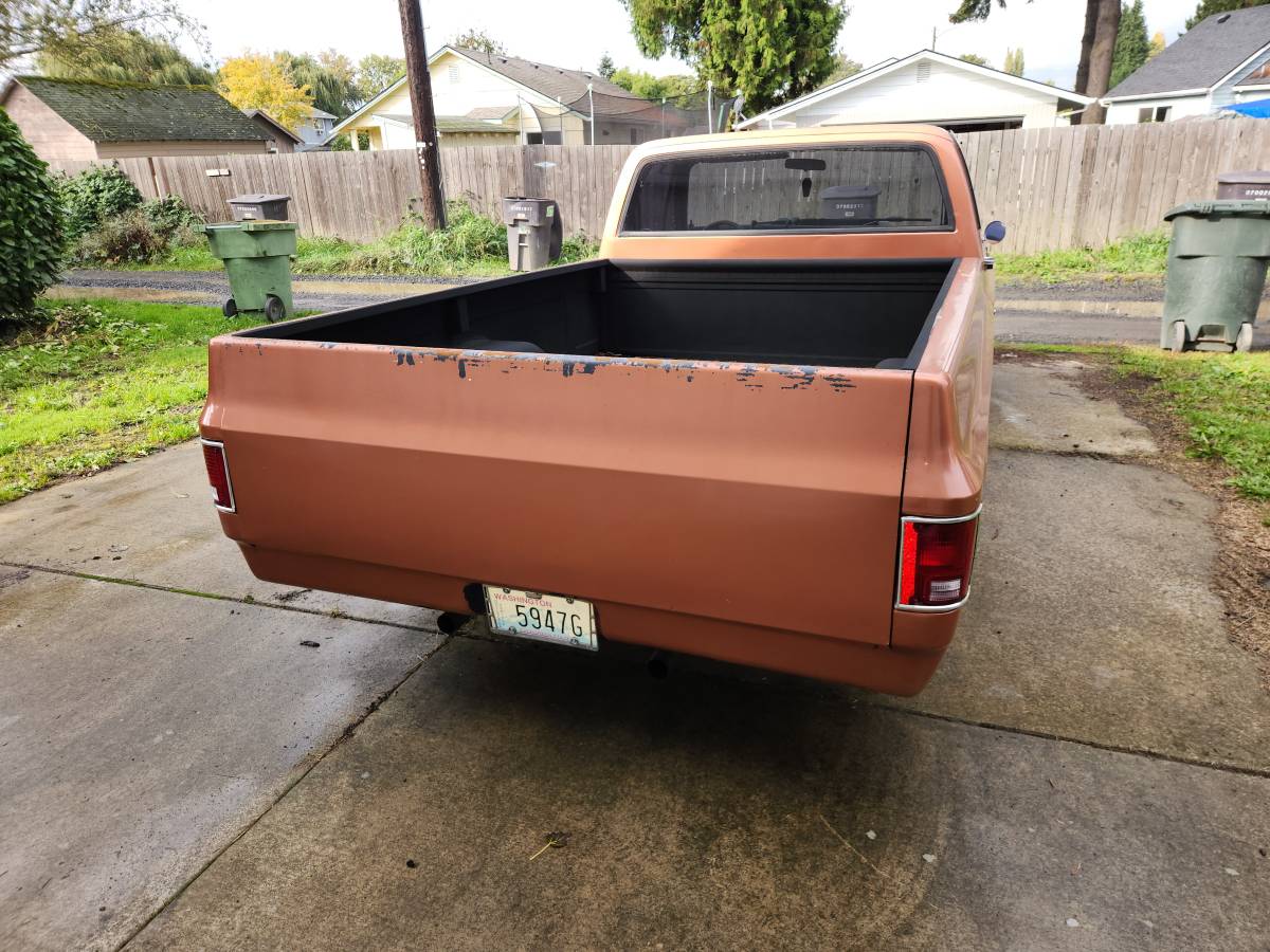 Chevrolet-c10-pickup-1977-custom-13