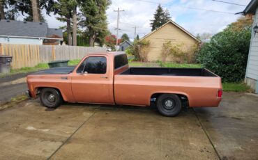 Chevrolet-c10-pickup-1977-custom-7