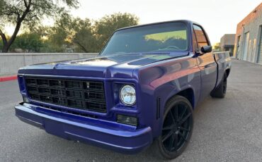 Chevrolet-c10-pickup-1979-1