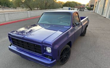 Chevrolet-c10-pickup-1979-19