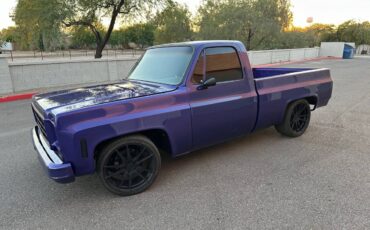 Chevrolet-c10-pickup-1979-2