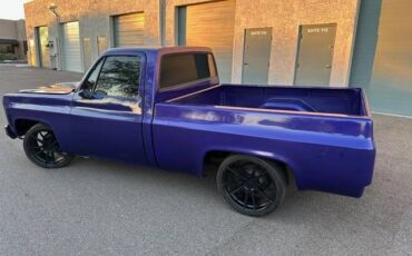 Chevrolet-c10-pickup-1979-20