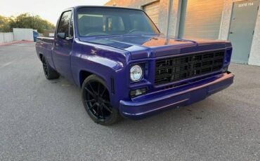 Chevrolet-c10-pickup-1979-3