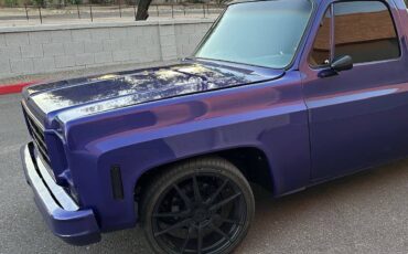 Chevrolet-c10-pickup-1979-5