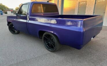 Chevrolet-c10-pickup-1979-9