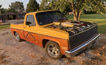 Chevrolet-c10-pickup-1981-yellow-1