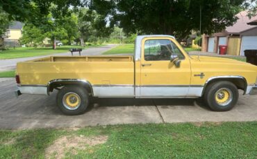 Chevrolet-c10-pickup-1981-yellow-1