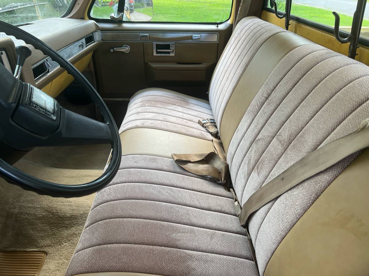 Chevrolet-c10-pickup-1981-yellow-2