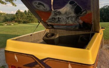 Chevrolet-c10-pickup-1981-yellow-3