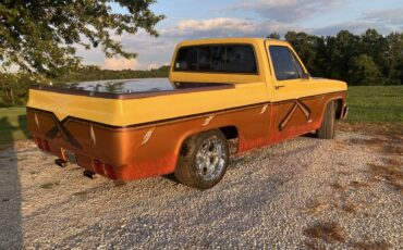 Chevrolet-c10-pickup-1981-yellow-4
