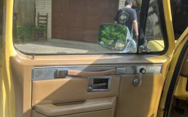 Chevrolet-c10-pickup-1981-yellow-4