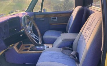 Chevrolet-c10-pickup-1981-yellow-6