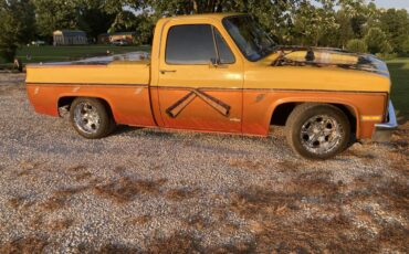 Chevrolet-c10-pickup-1981-yellow-9