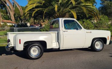 Chevrolet-c10-shortbed-1974-white-1