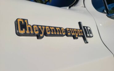 Chevrolet-c10-shortbed-1974-white-13