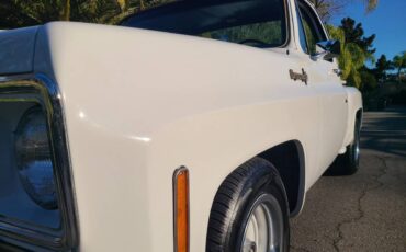 Chevrolet-c10-shortbed-1974-white-14