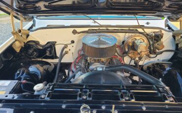 Chevrolet-c10-shortbed-1974-white-22