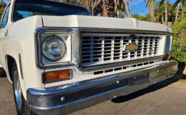 Chevrolet-c10-shortbed-1974-white-3