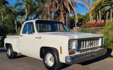 Chevrolet-c10-shortbed-1974-white