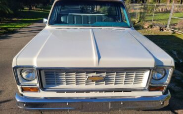 Chevrolet-c10-shortbed-1974-white-5