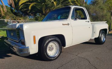 Chevrolet-c10-shortbed-1974-white-7