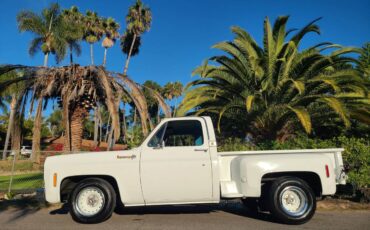 Chevrolet-c10-shortbed-1974-white-8