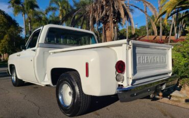 Chevrolet-c10-shortbed-1974-white-9