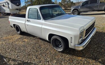 Chevrolet-c10-swb-1980-white-1