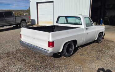 Chevrolet-c10-swb-1980-white-2