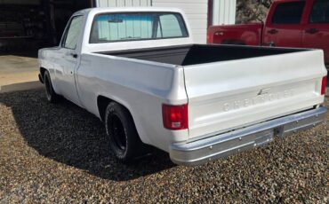 Chevrolet-c10-swb-1980-white-3