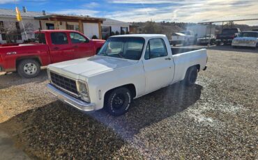 Chevrolet-c10-swb-1980-white