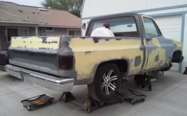 Chevrolet-c10-swb-1984-brown-1