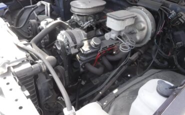 Chevrolet-c10-swb-1984-brown-11