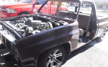 Chevrolet-c10-swb-1984-brown-16