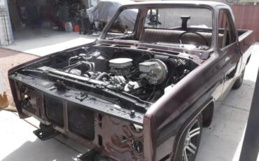 Chevrolet-c10-swb-1984-brown-19