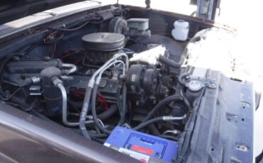 Chevrolet-c10-swb-1984-brown-8