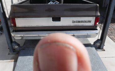 Chevrolet-c10-swb-1984-brown-9